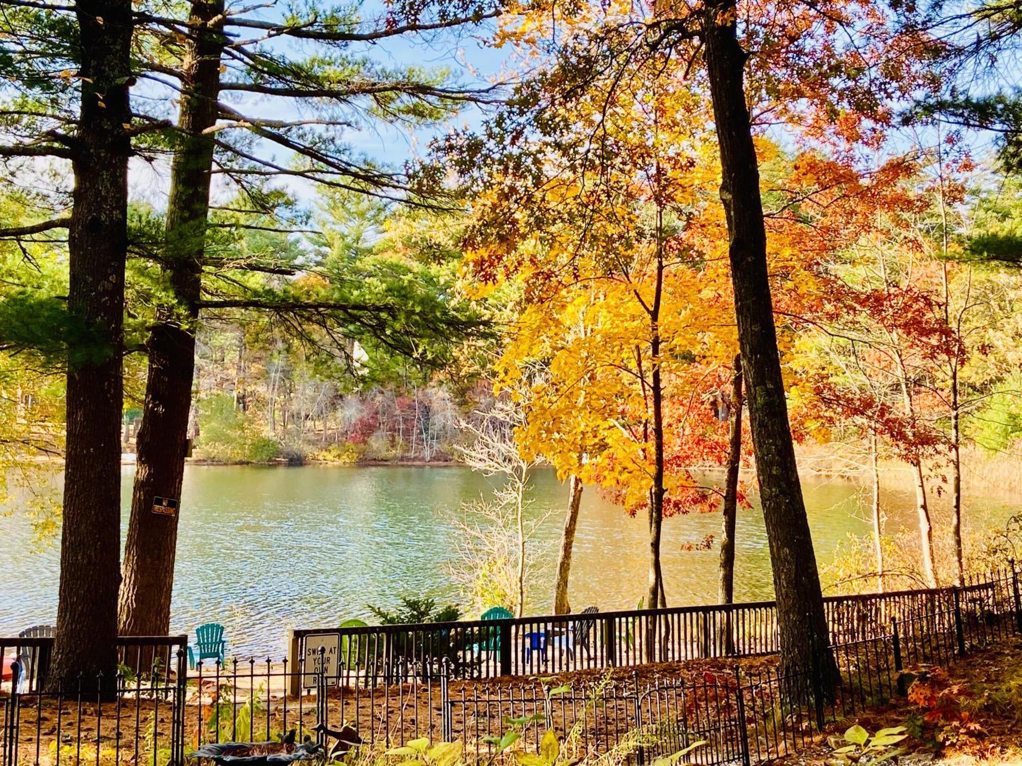 Clear Pond Getaway Daire Plymouth Dış mekan fotoğraf