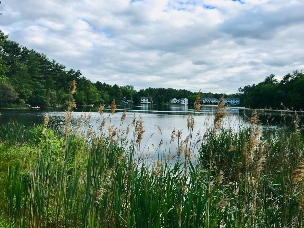 Clear Pond Getaway Daire Plymouth Dış mekan fotoğraf